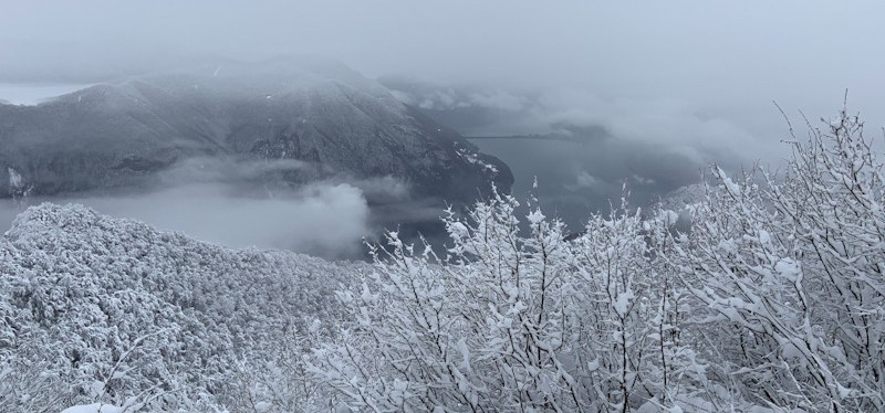 Dove racchettare in Ticino? Al Monte Boglia, e chi l’avrebbe mai&nbsp;detto!