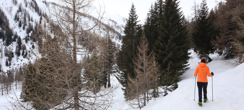 Racchettata a Cioss Prato: la Valle Bedretto non delude&nbsp;mai